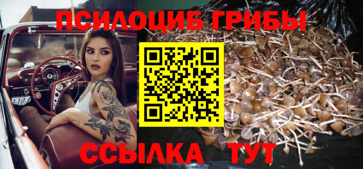 ГАШ Нижний Новгород
