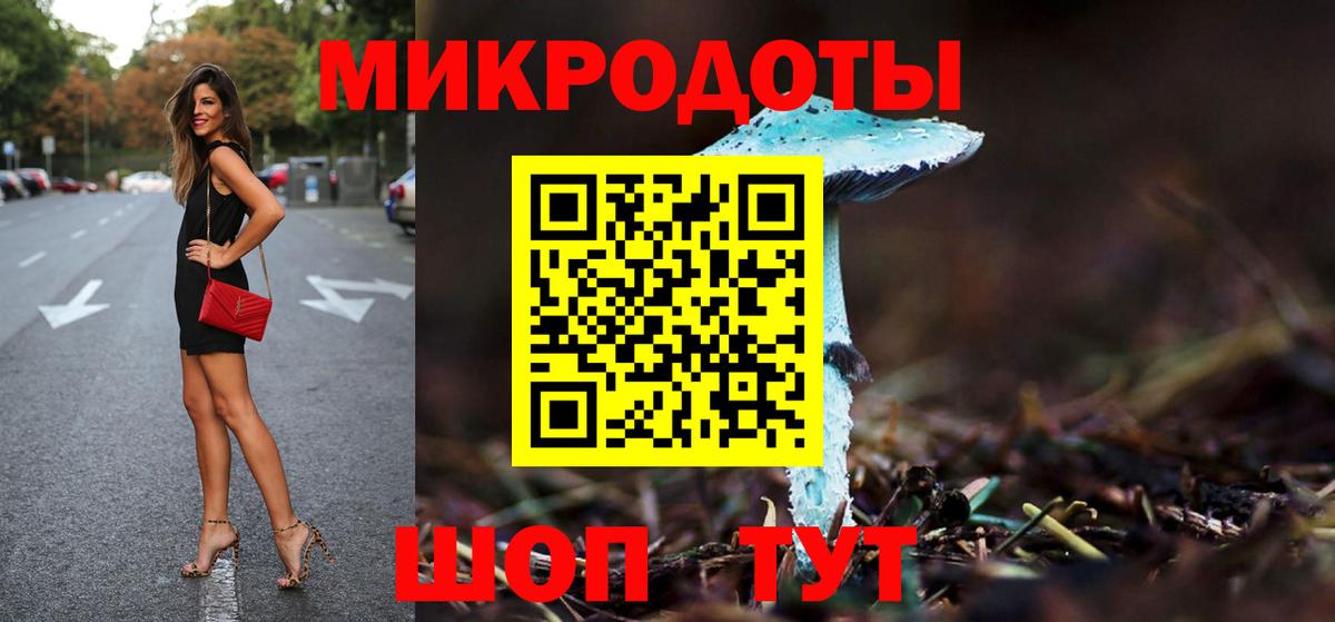 Псилоцибиновые грибы Cubensis Нижний Новгород