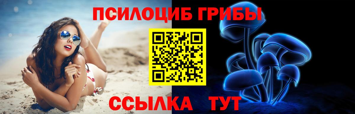 Псилоцибиновые грибы мухоморы  Вход с VPN  Нижний Новгород 